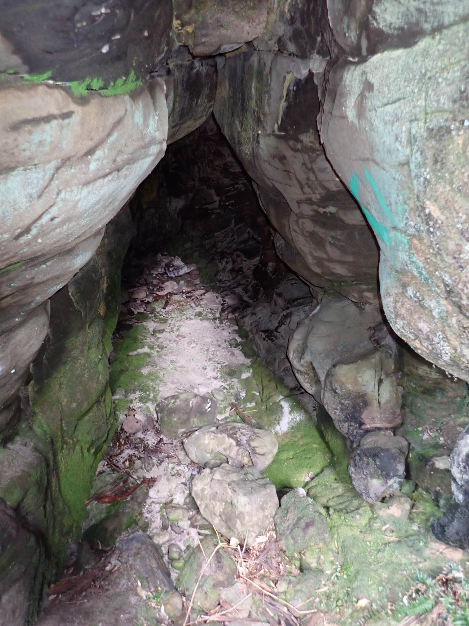 Erica Cave